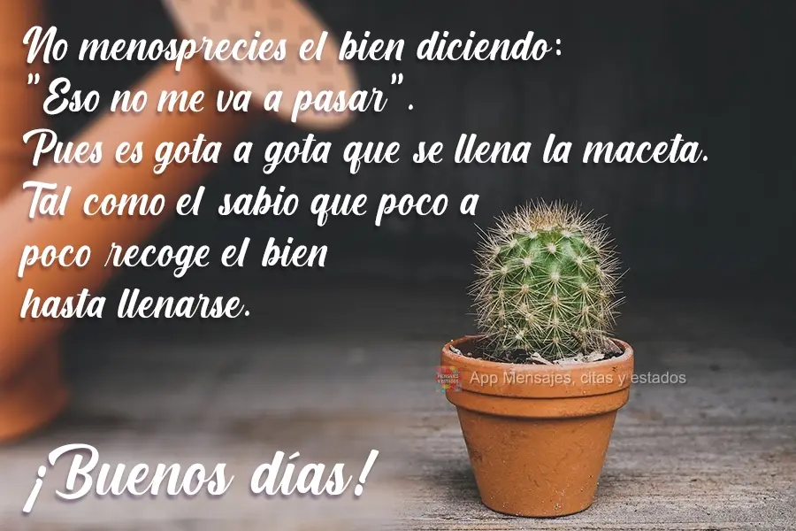 No menosprecies el bien diciendo: "Eso no me va a pasar". Pues es gota a gota que se llena la maceta. Tal como el sabio que poco a poco recoge el bien ha...