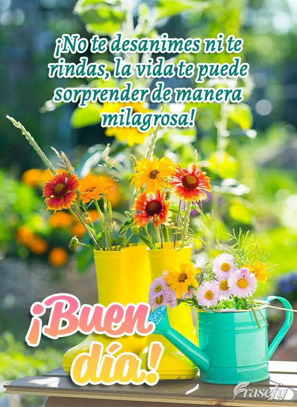 ¡No te desanimes ni te rindas, la vida te puede sorprender de manera milagrosa! ¡Buen día!