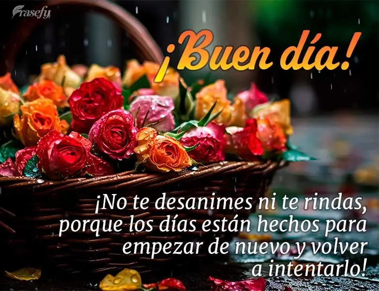 ¡No te desanimes ni te rindas, porque los días están hechos para empezar de nuevo y volver a intentarlo! ¡Buen día!