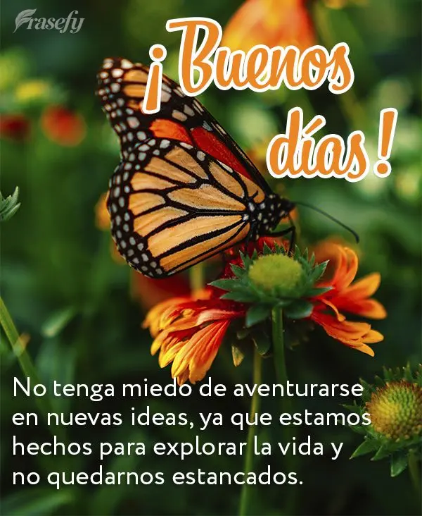 No tenga miedo de aventurarse en nuevas ideas, ya que estamos hechos para explorar la vida y no quedarnos estancados. ¡Buenos días!