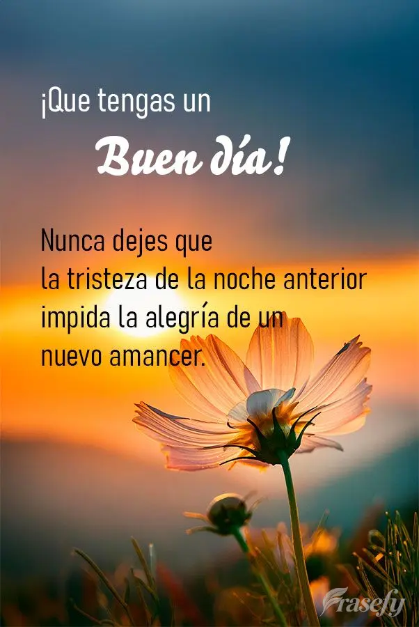 Nunca dejes que la tristeza de la noche anterior impida la alegría de un nuevo amancer. ¡Que tengas un buen día!