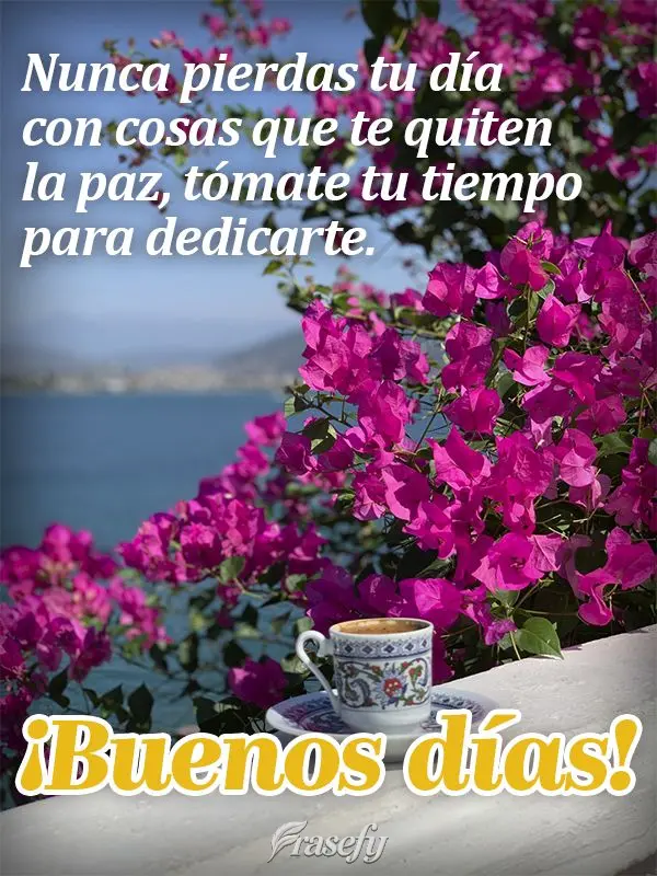 Nunca pierdas tu día con cosas que te quiten la paz, tómate tu tiempo para dedicarte. ¡Buenos días!