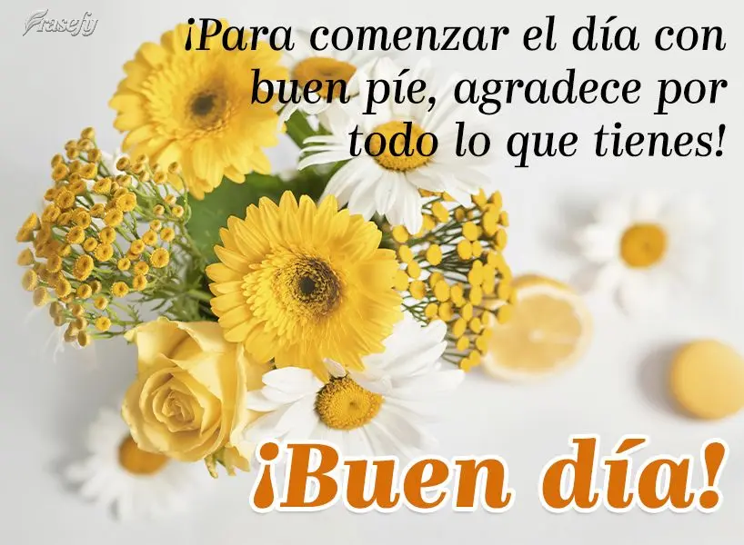 ¡Para comenzar el día con buen píe, agradece por todo lo que tienes! ¡Buen día!