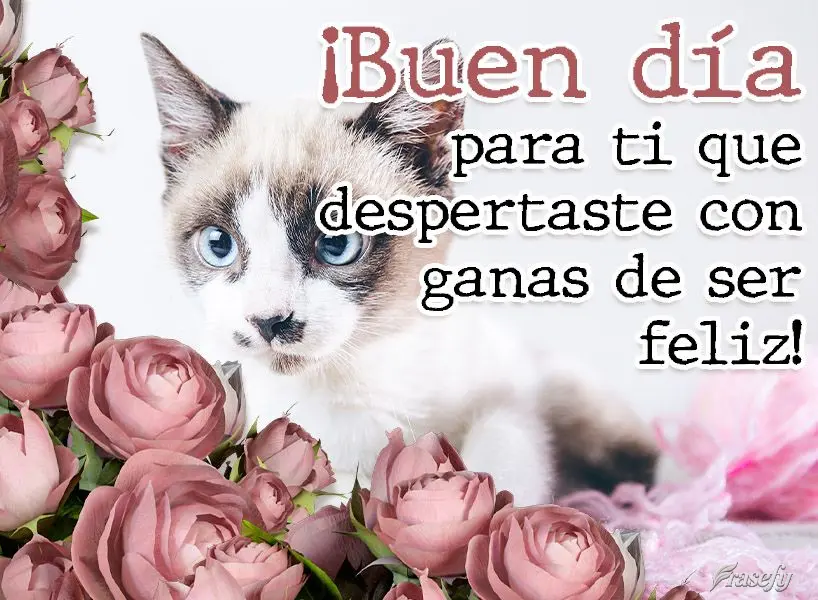 ¡Buen día para ti que despertaste con ganas de ser feliz!