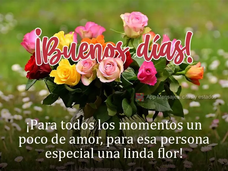 ¡Para todos los momentos un poco de amor, para esa persona especial una linda flor! ¡Buenos días!