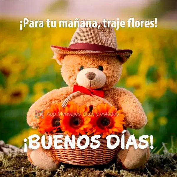¡Para tu mañana, traje flores! ¡Buenos días!