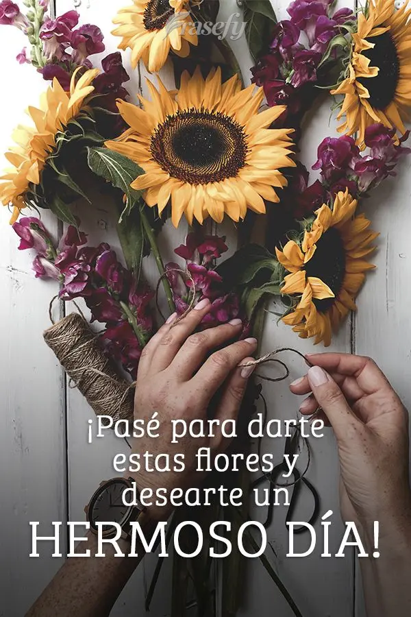 ¡Pasé para darte estas flores y desearte un hermoso día!