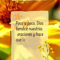 Poco a poco, Dios bendice nuestras oraciones y hace que la felicidad que tanto anhela nuestro corazón esté en nuestra rutina diaria. ¡Buen día!