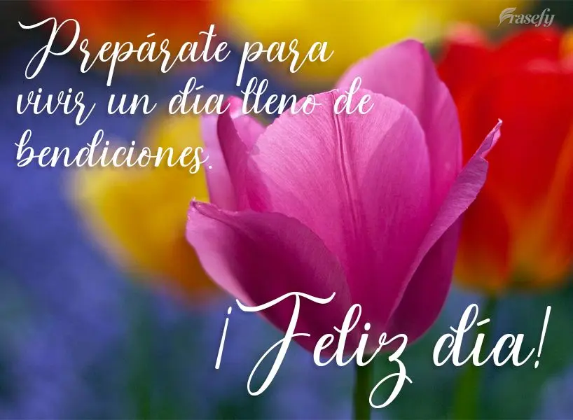 Prepárate para vivir un día lleno de bendiciones. ¡Feliz día!