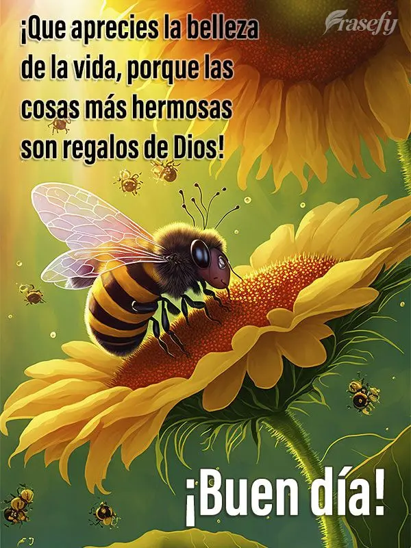 ¡Que aprecies la belleza de la vida, porque las cosas más hermosas son regalos de Dios! ¡Buen día!