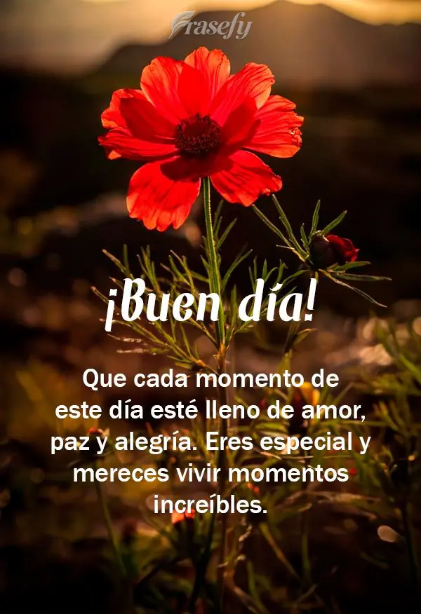 Que cada momento de este día esté lleno de amor, paz y alegría. Eres especial y mereces vivir momentos increíbles. ¡Buen día!
