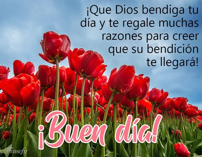 ¡Que Dios bendiga tu día y te regale muchas razones para creer que su bendición te llegará! ¡Buen día!