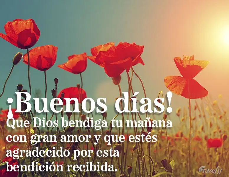 Que Dios bendiga tu mañana con gran amor y que estés agradecido por esta bendición recibida. ¡Buenos días!