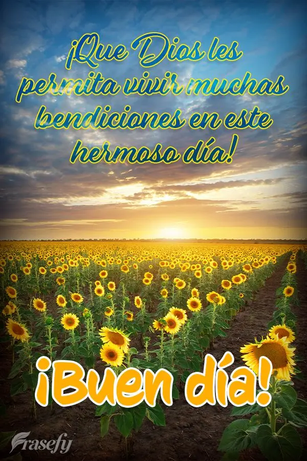 ¡Que Dios les permita vivir muchas bendiciones en este hermoso día! ¡Buen día!