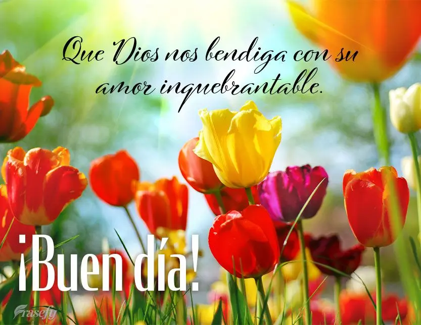 Que Dios nos bendiga con su amor inquebrantable. ¡Buen día!