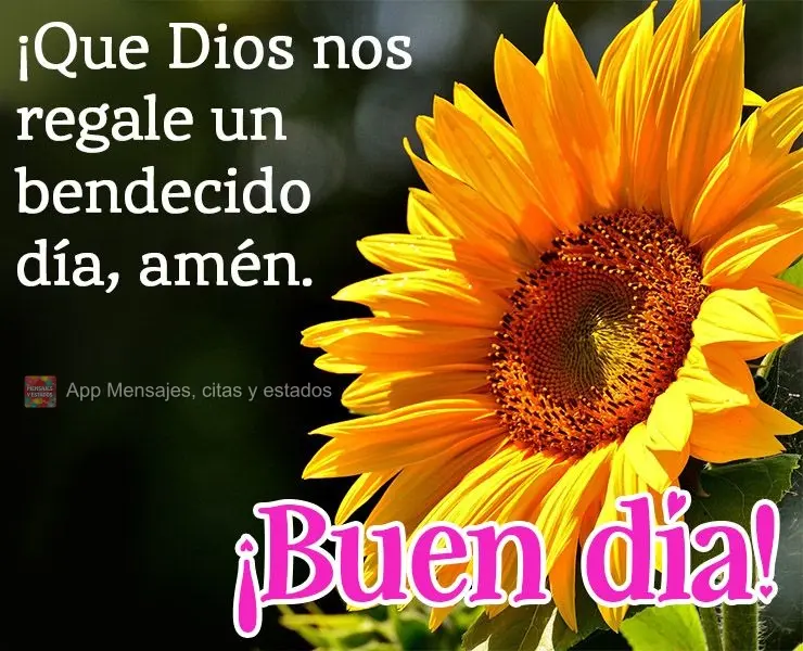 ¡Que Dios nos regale un bendecido día, amén. ¡Buen día!