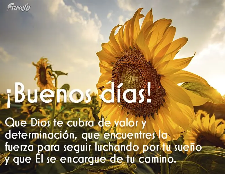 Que Dios te cubra de valor y determinación, que encuentres la fuerza para seguir luchando por tu sueño y que Él se encargue de tu camino. ¡Buenos dí...