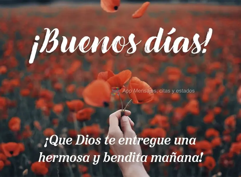 ¡Que Dios te entregue una hermosa y bendita mañana! ¡Buenos días!