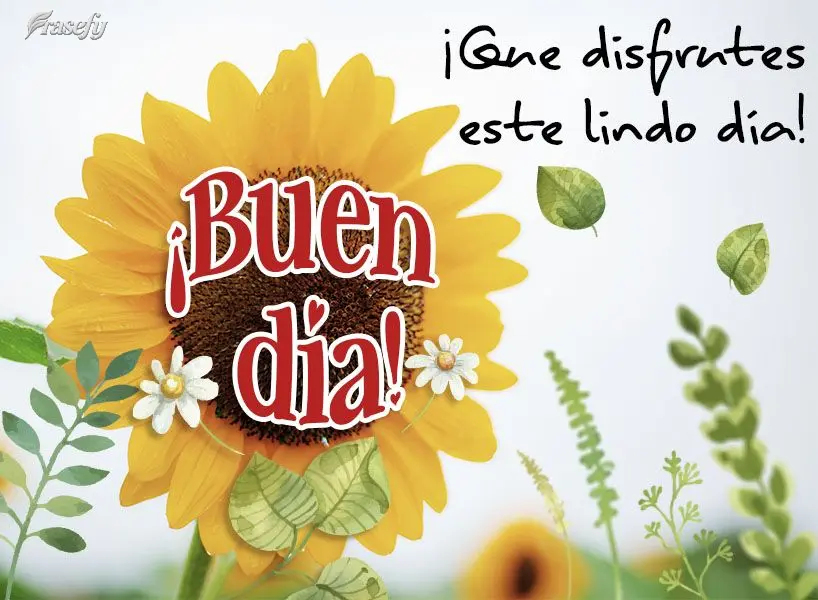¡Que disfrutes este lindo día! ¡Buen día!