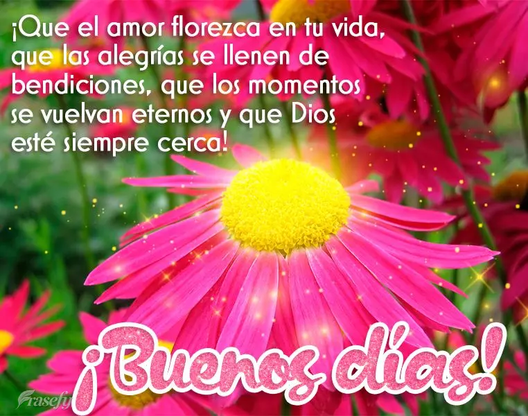 ¡Que el amor florezca en tu vida, que las alegrías se llenen de bendiciones, que los momentos se vuelvan eternos y que Dios esté siempre cerca! ¡Buen...