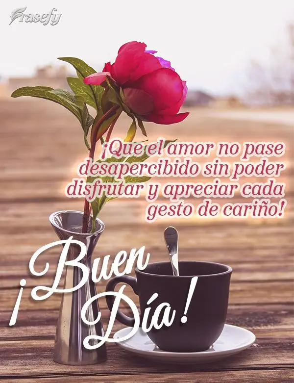 ¡Que el amor no pase desapercibido sin poder disfrutar y apreciar cada gesto de cariño! ¡Buen día!