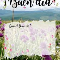Que el Dios de la esperanza os llene de todo gozo y paz en vuestra confianza en él, para que reboséis de esperanza por el poder del Espíritu Santo. ¡...