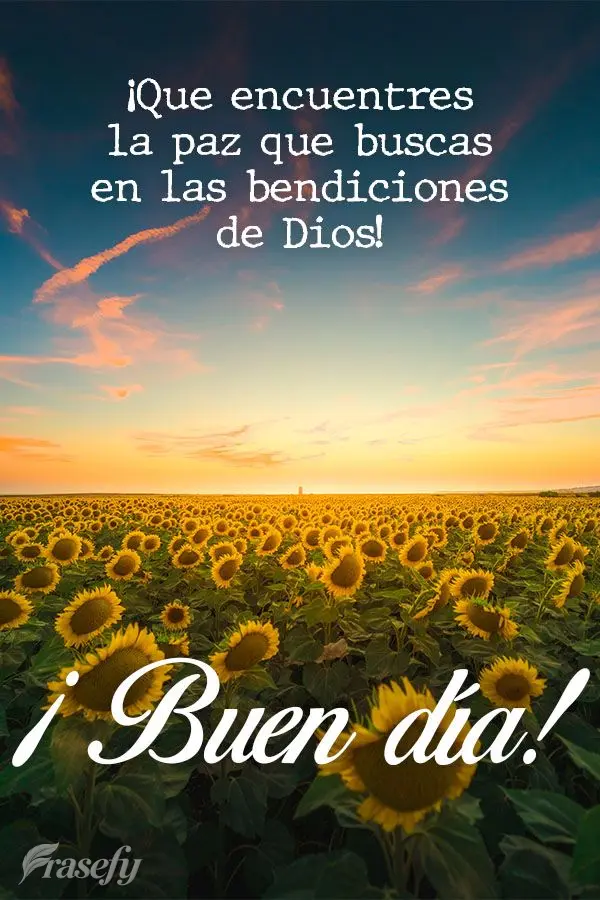 ¡Que encuentres la paz que buscas en las bendiciones de Dios! ¡Buen día!