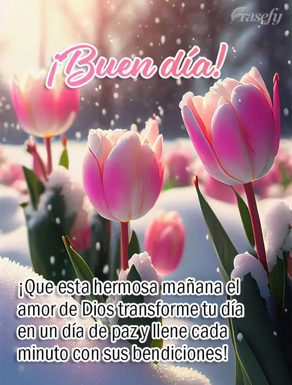 ¡Que esta hermosa mañana el amor de Dios transforme tu día en un día de paz y llene cada minuto con sus bendiciones! ¡Buen día!