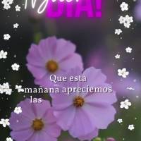 Que esta mañana apreciemos las cosas simples, abracemos con fuerza nuestros sueños y nos dediquemos más a cumplir cada uno de ellos! ¡Buen día!