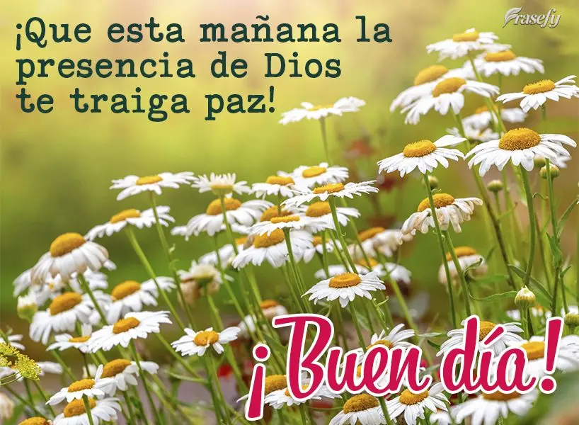 ¡Que esta mañana la presencia de Dios te traiga paz! ¡Buen día!