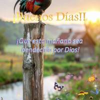 ¡Que esta mañana sea bendecida por Dios!