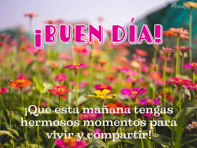 ¡Que esta mañana tengas hermosos momentos para vivir y compartir! ¡Buen día!