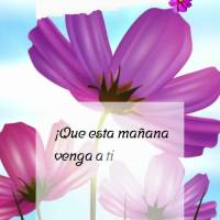 ¡Que esta mañana venga a ti con la gloria de Dios y las bendiciones que mereces para vivir! ¡Buen día!