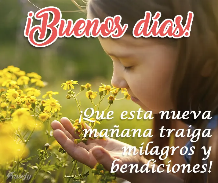 ¡Que esta nueva mañana traiga milagros y bendiciones! ¡Buenos días!