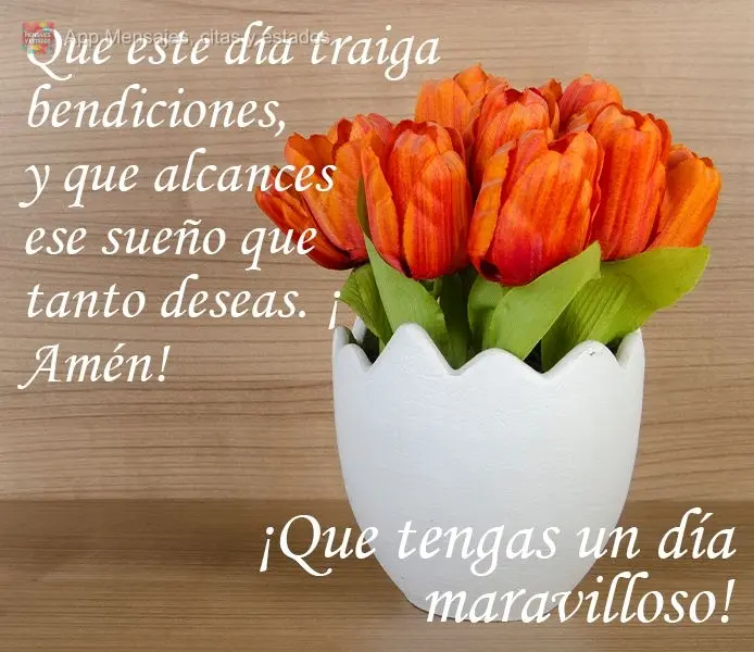 Que este día traiga bendiciones, y que alcances ese sueño que tanto deseas. ¡Amén! ¡Que tengas un día maravilloso!