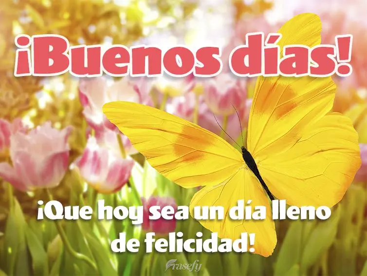 ¡Que hoy sea un día lleno de felicidad! ¡Buenos días!