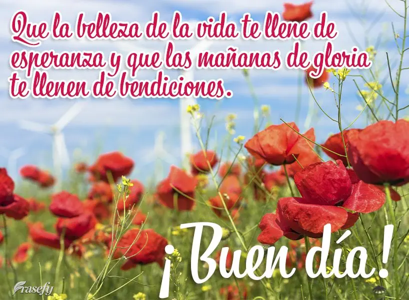 Que la belleza de la vida te llene de esperanza y que las mañanas de gloria te llenen de bendiciones. ¡Buen día!