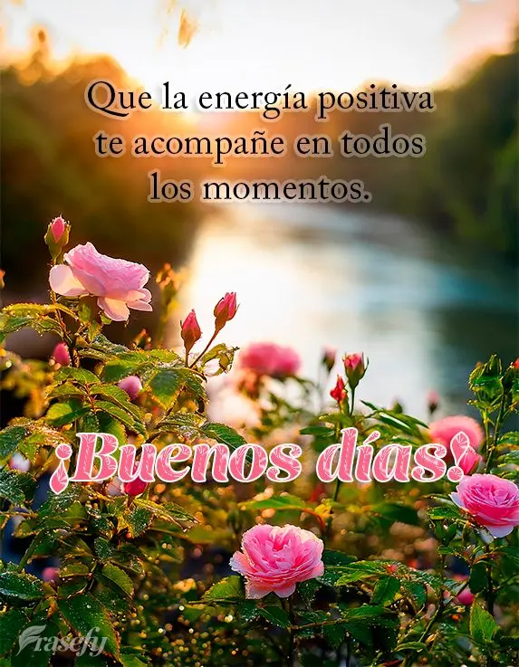 Que la energía positiva te acompañe en todos los momentos. ¡Buenos días!