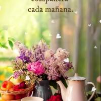 Que la felicidad sea tu compañera cada mañana. ¡Buen día!