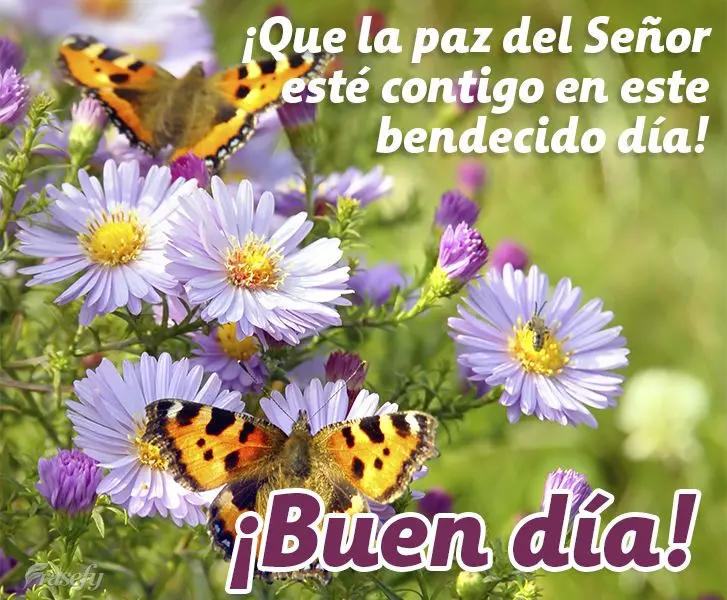 ¡Que la paz del Señor esté contigo en este bendecido día! ¡Buen día!