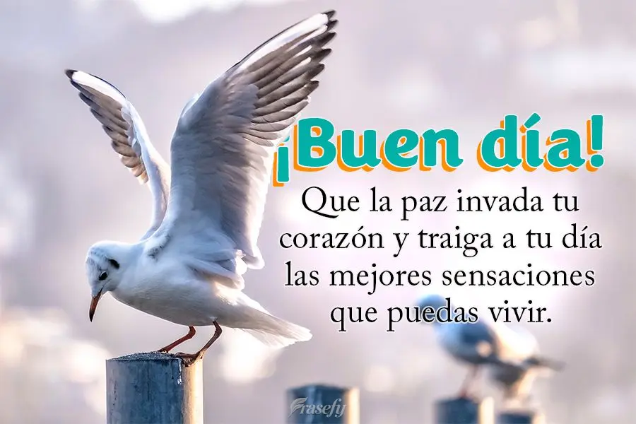 Que la paz invada tu corazón y traiga a tu día las mejores sensaciones que puedas vivir. ¡Buen día!