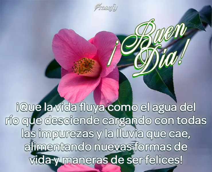 ¡Que la vida fluya como el agua del río que desciende cargando con todas las impurezas y la lluvia que cae, alimentando nuevas formas de vida y maneras...