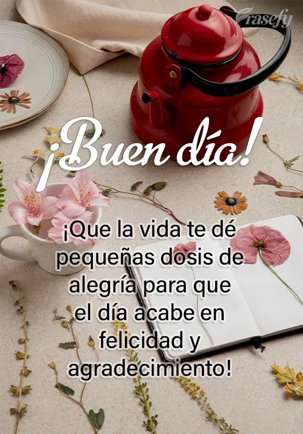 ¡Que la vida te dé pequeñas dosis de alegría para que el día acabe en felicidad y agradecimiento! ¡Buen día!