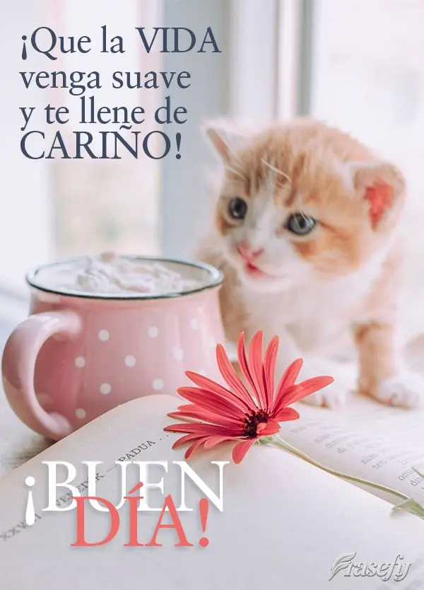 ¡Que la vida venga suave y te llene de cariño! ¡Buen día!
