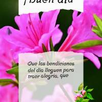 Que las bendiciones del día lleguen para traer alegría, que tu día tenga paz, y tu corazón mucho amor, que seas agradecido donde quiera que vayas! ¡...