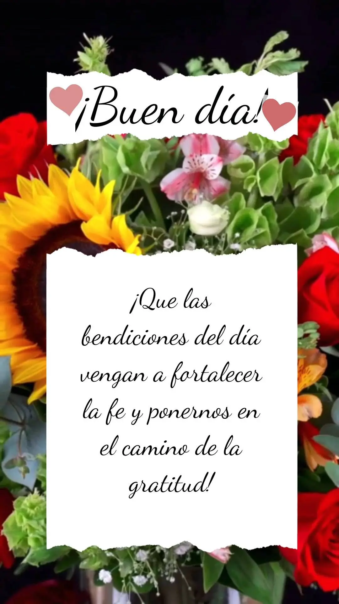 ¡Que las bendiciones del día vengan a fortalecer la fe y ponernos en el camino de la gratitud! ¡Buen día!