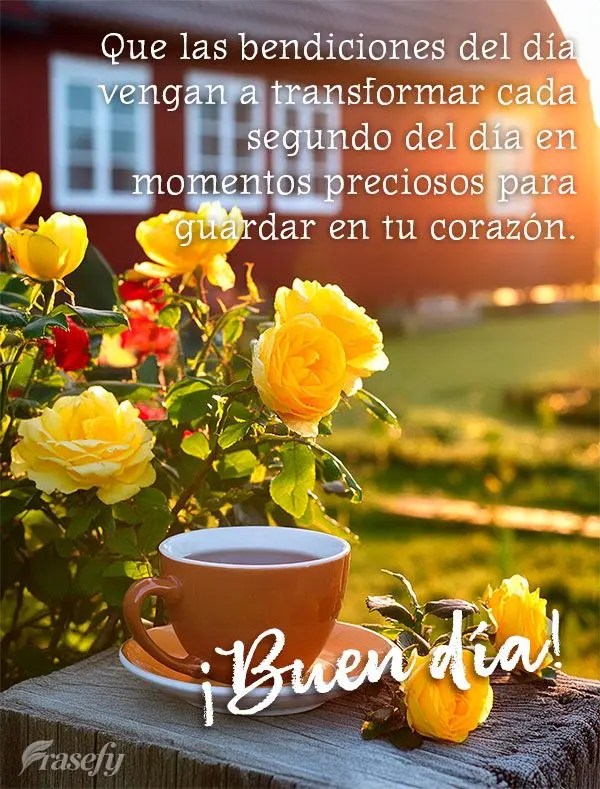 Que las bendiciones del día vengan a transformar cada segundo del día en momentos preciosos para guardar en tu corazón. ¡Buen día!