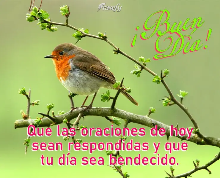 Que las oraciones de hoy sean respondidas y que tu día sea bendecido. ¡Buen día!