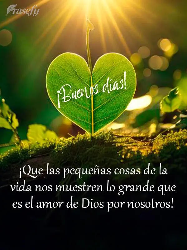 ¡Que las pequeñas cosas de la vida nos muestren lo grande que es el amor de Dios por nosotros! ¡Buenos días!