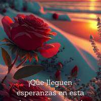 ¡Que lleguen esperanzas en esta hermosa mañana! Dándonos coraje y manteniéndonos cálidos y esperanzados. ¡Porque a quien confía en Dios no le falt...